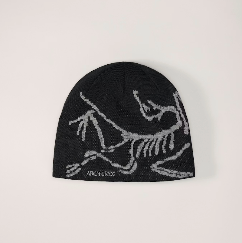 Arc'teryx Bird Head Toque