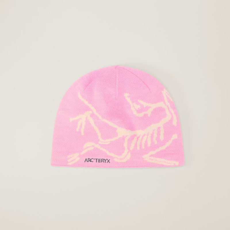 Arc'teryx Bird Head Toque