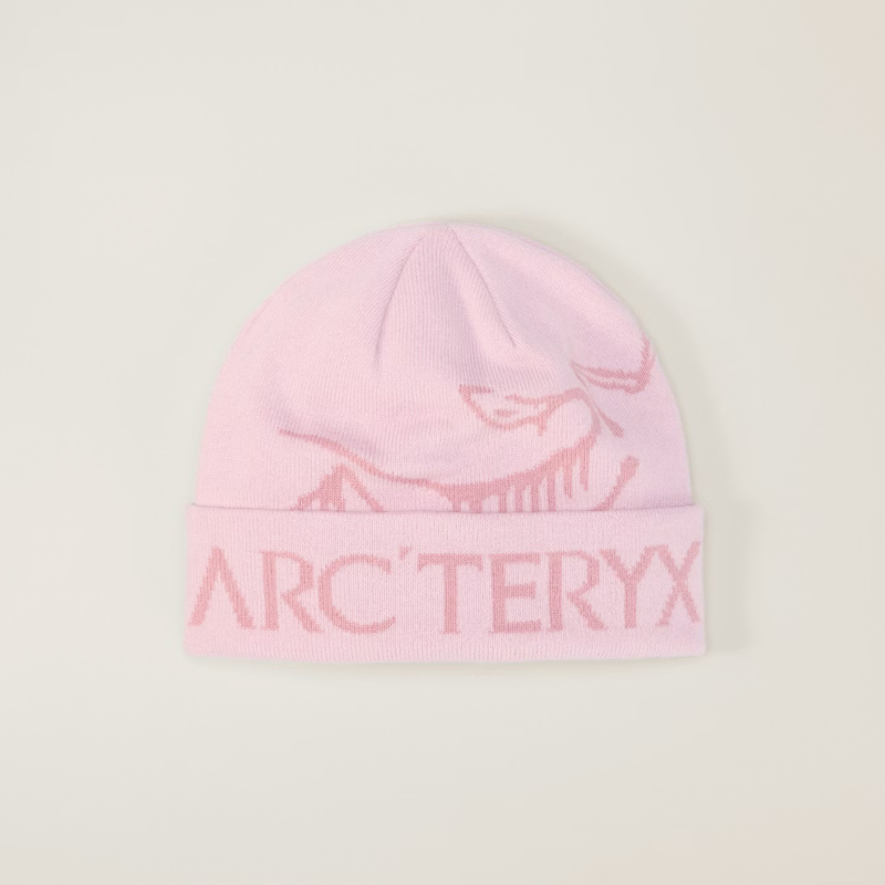 Arc'teryx Bird Word Toque