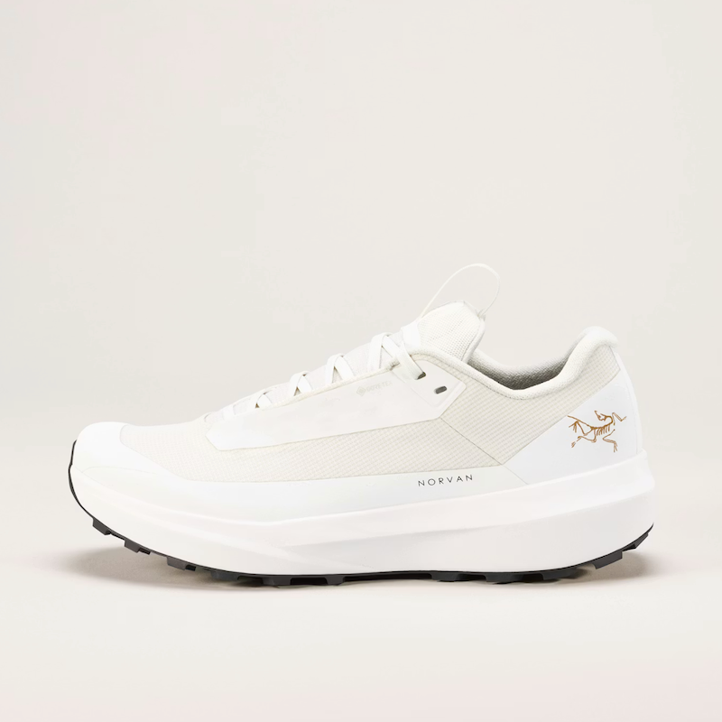 Arc'teryx Norvan LD 4 GTX Men's